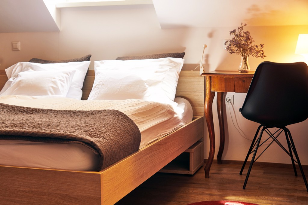 Room Zofka, Minka (1)